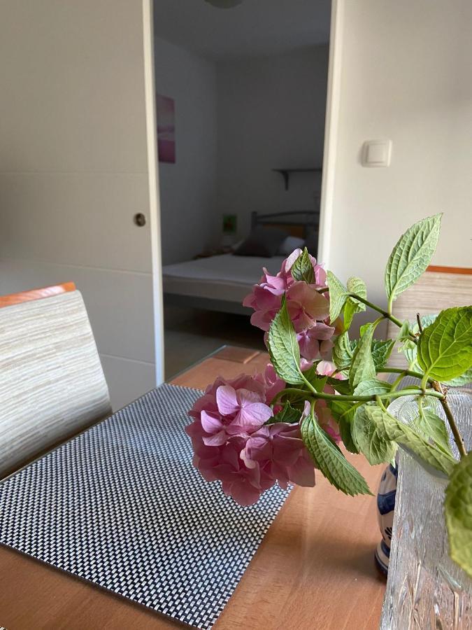 Duje & Roko Apartments 希贝尼克 外观 照片